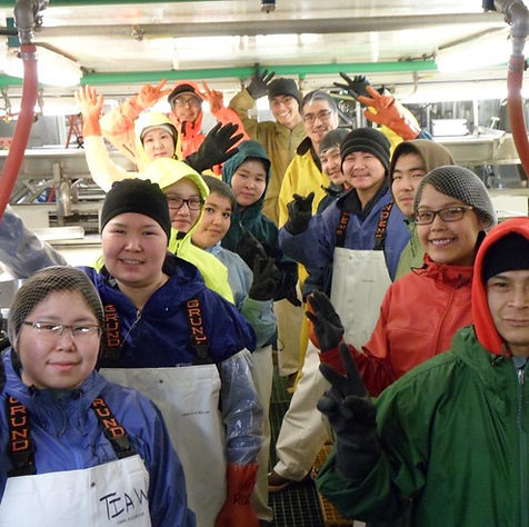 SEAFOOD FOR SALE